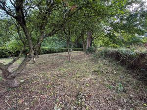 Site Photo- click for photo gallery